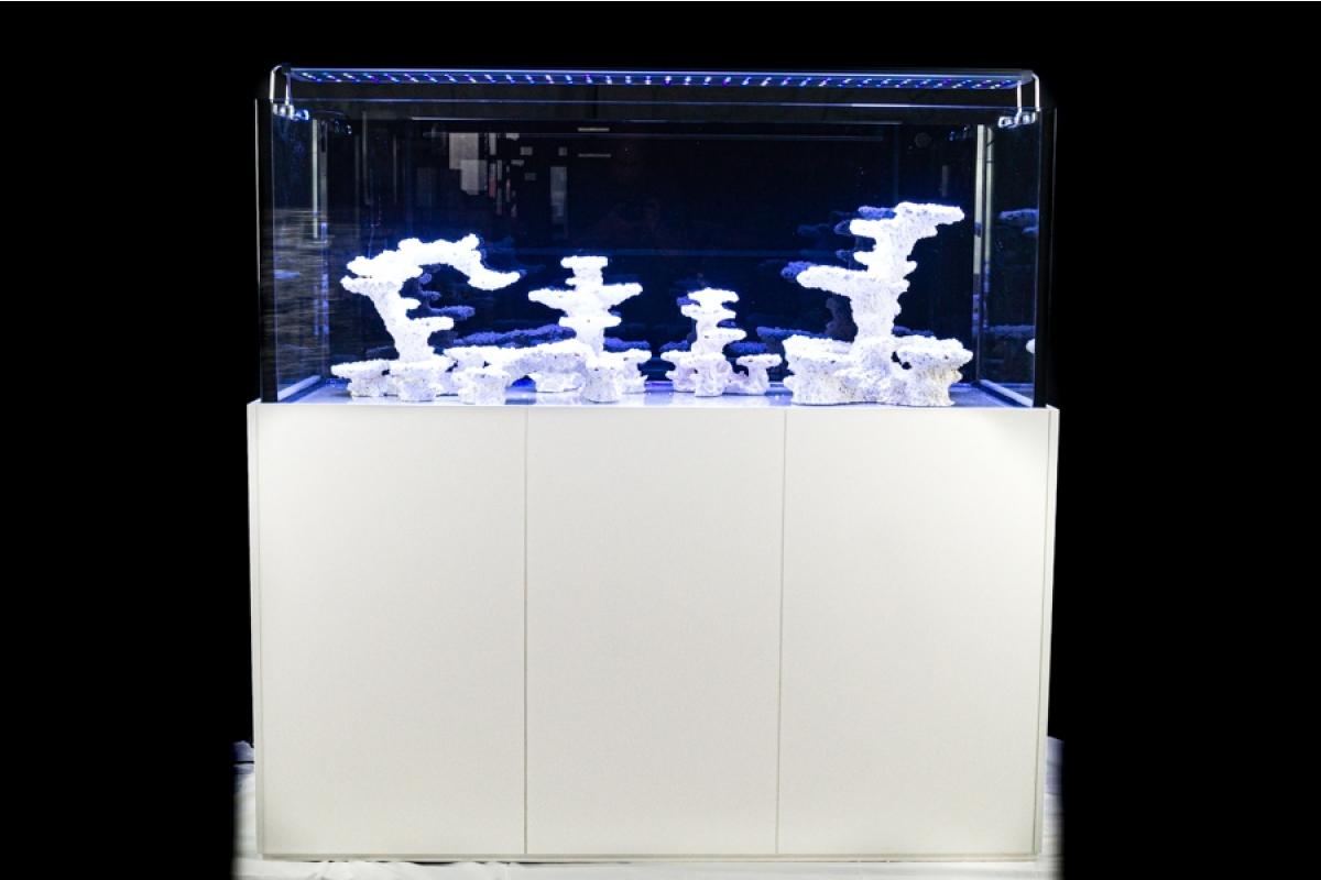 AquaPerfekt ReefTank Exklusiv 540 Liter inkl. Royal Dreambox Systemaquarium (150x60x60 cm)