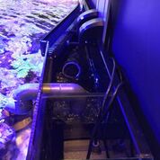D-D Reef-Pro 900 Black Gloss Aquariumsystem 90x60x46cm