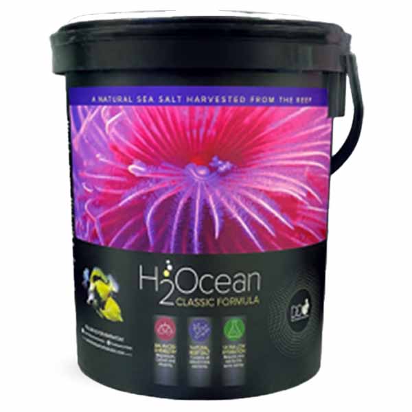 D-D H2Ocean Classic Formular Meersalz 6,6 kg Eimer D-D H2Ocean Classic Formular Meersalz 6,6 kg Eimer