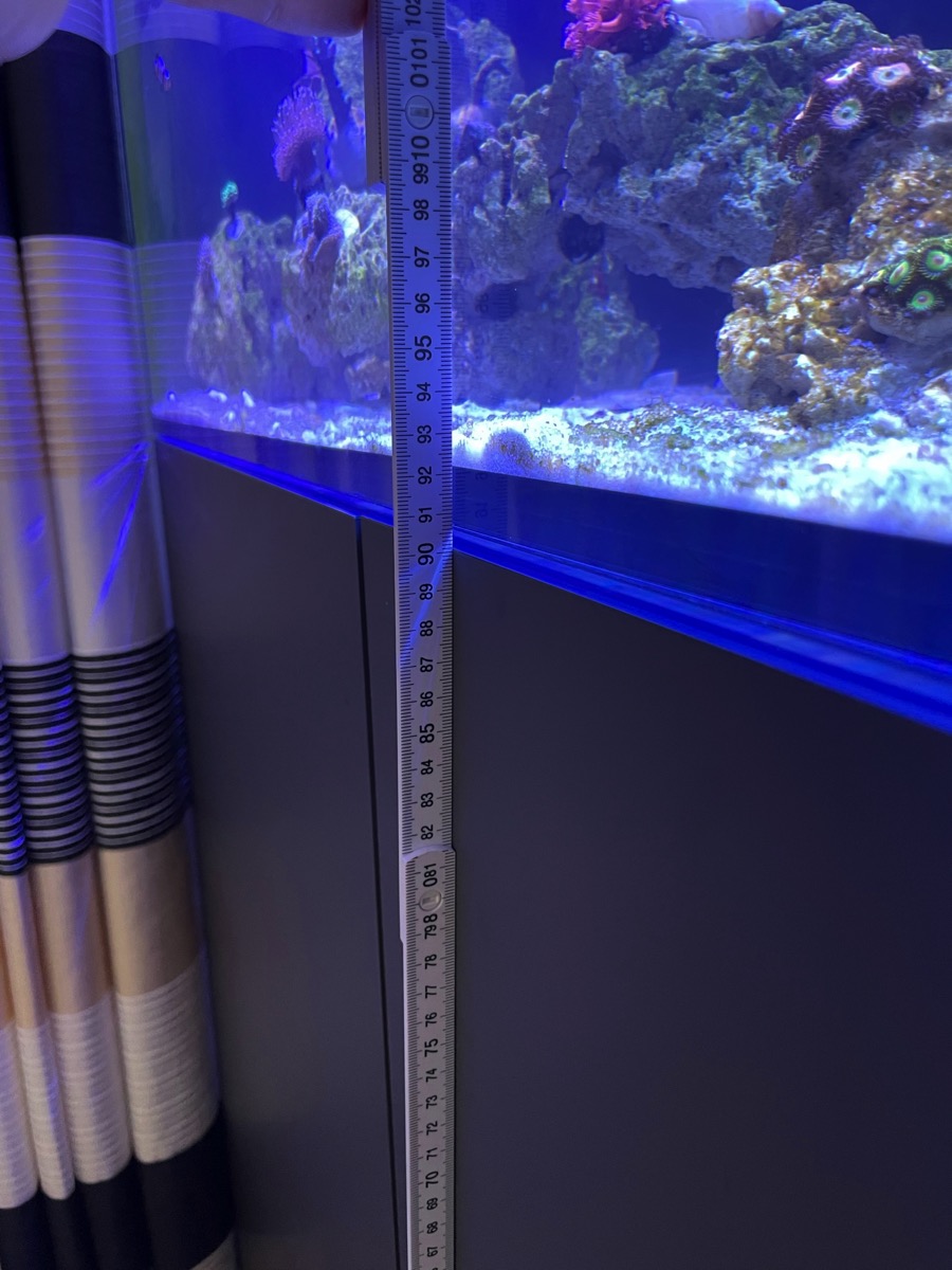 D-D AQUA-Pro Reef 1200 Driftwood Concrete 120x60x56cm Aquariumsystem mit Holzschrank