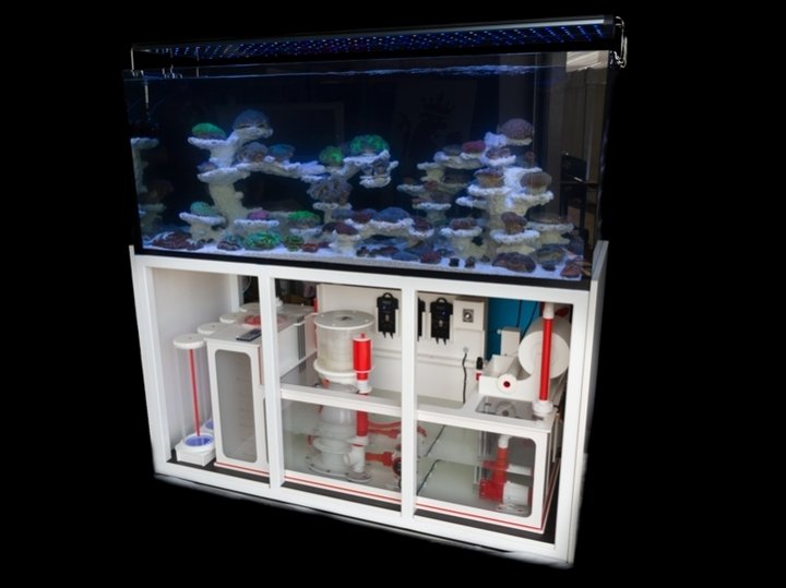 AquaPerfekt ReefTank Exklusiv 430 Liter inkl. Royal Dreambox Systemaquarium (120x60x60 cm)