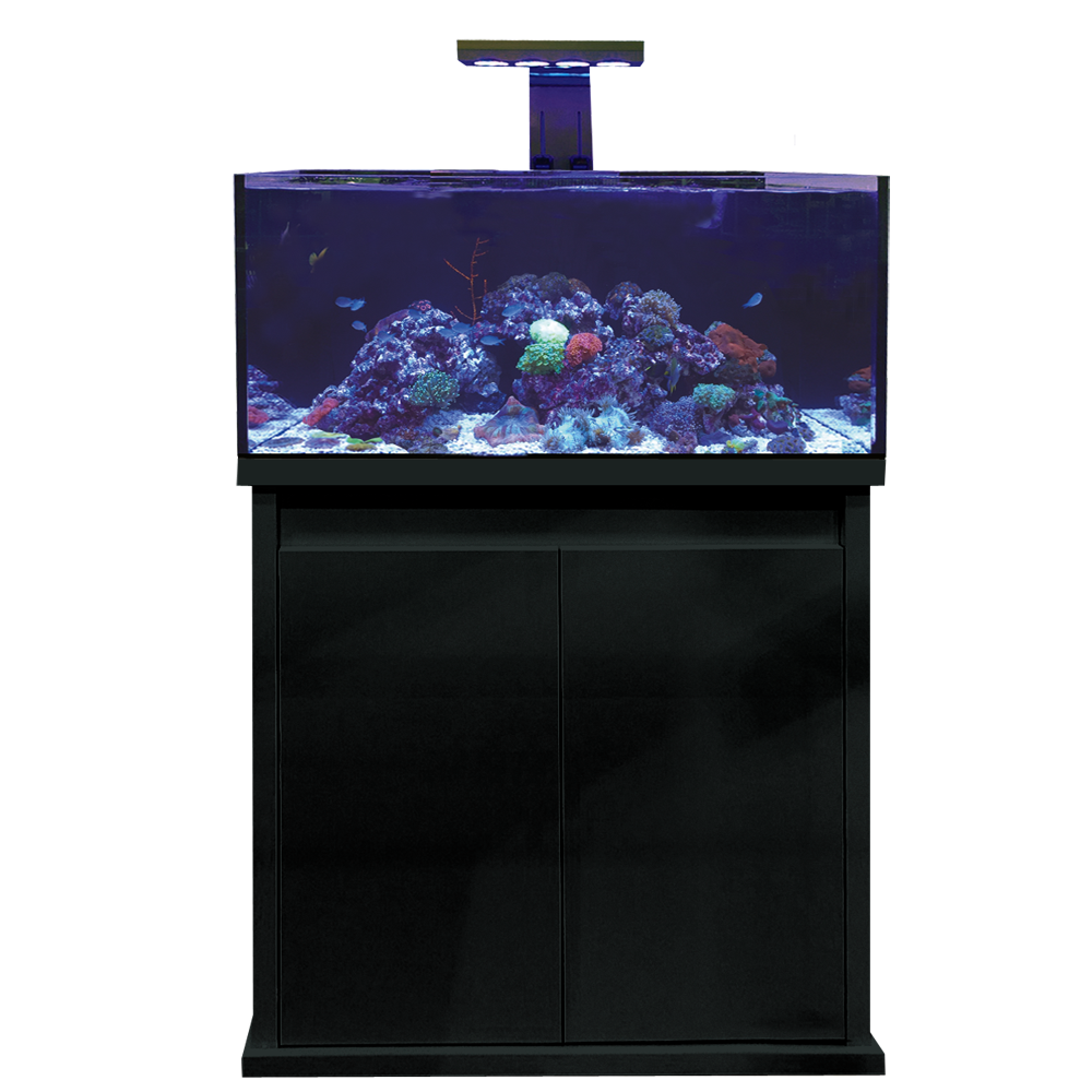 D-D Reef-Pro 900 Aquariumsystem