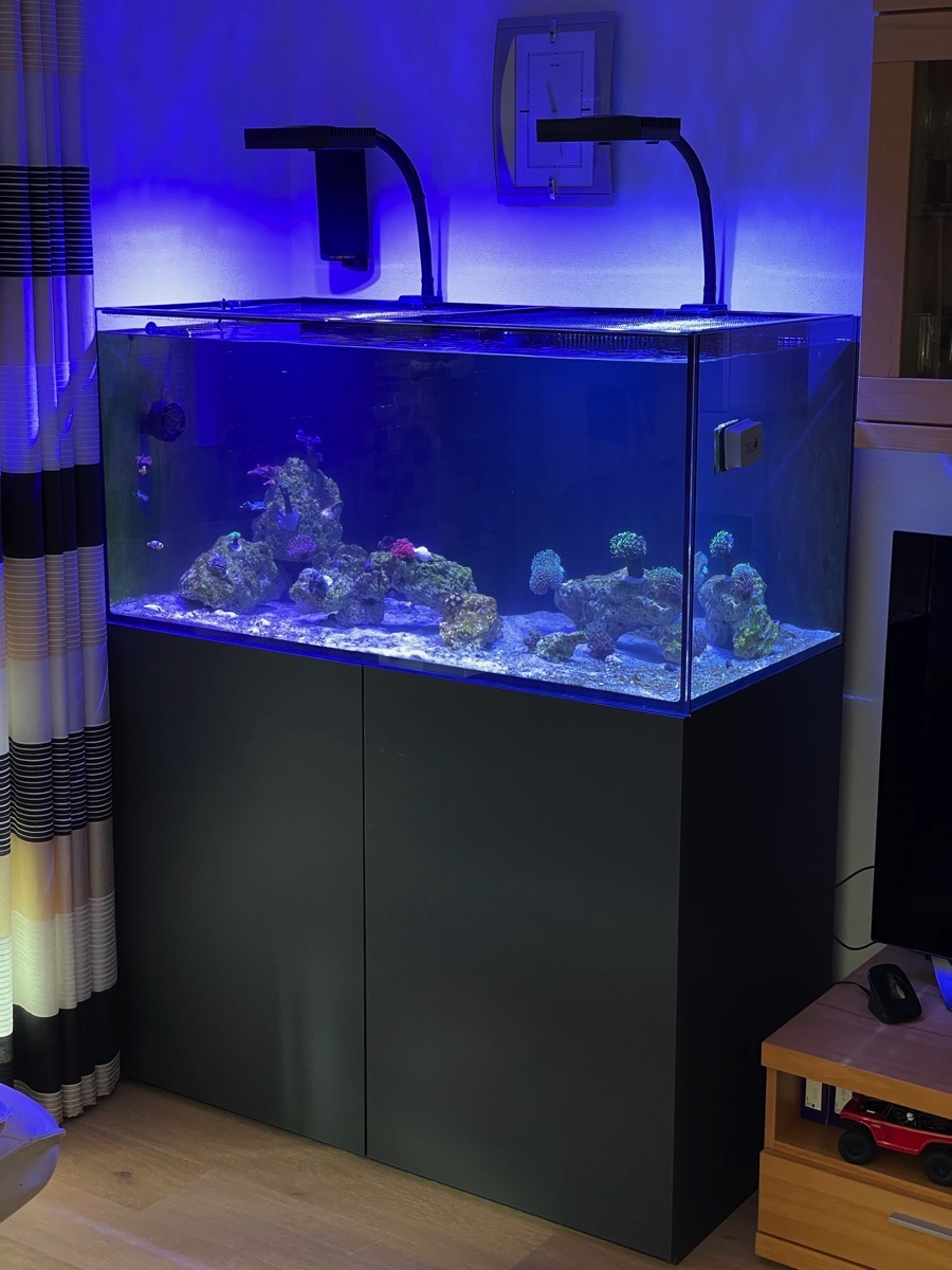 D-D AQUA-Pro Reef 1200 White Gloss 120x60x56cm Aquariumsystem mit Holzschrank