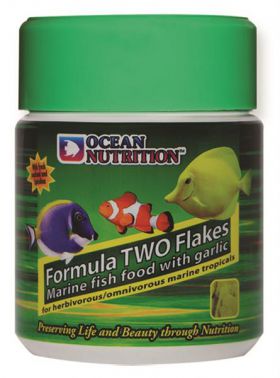 Ocean Nutrition Formula 2 Flakes mit Knoblauch 156 g