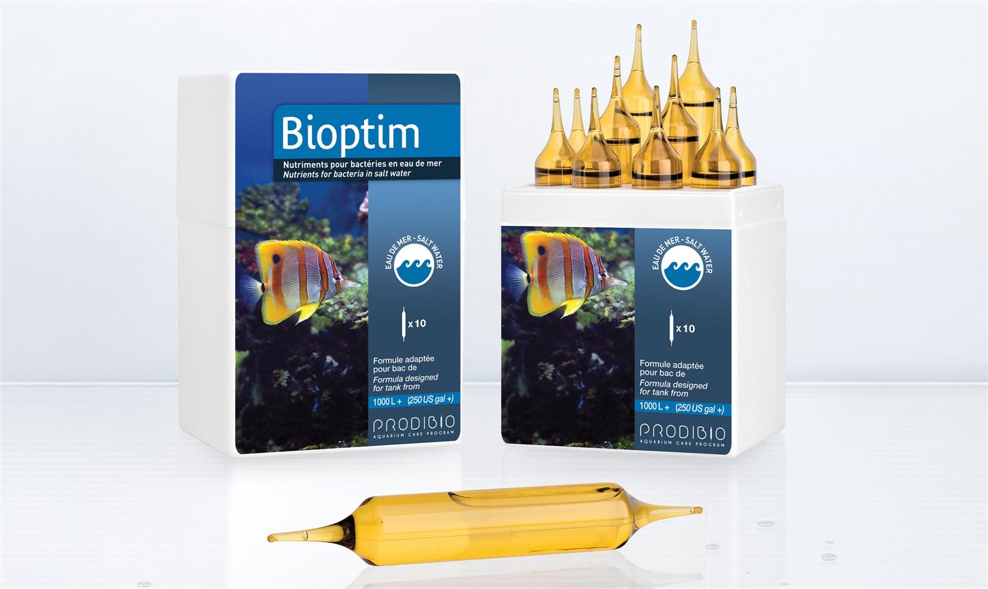 Prodibio Bioptim PRO Meerwasser konzentrierte Bakteriennährstoffe 10 Ampullen