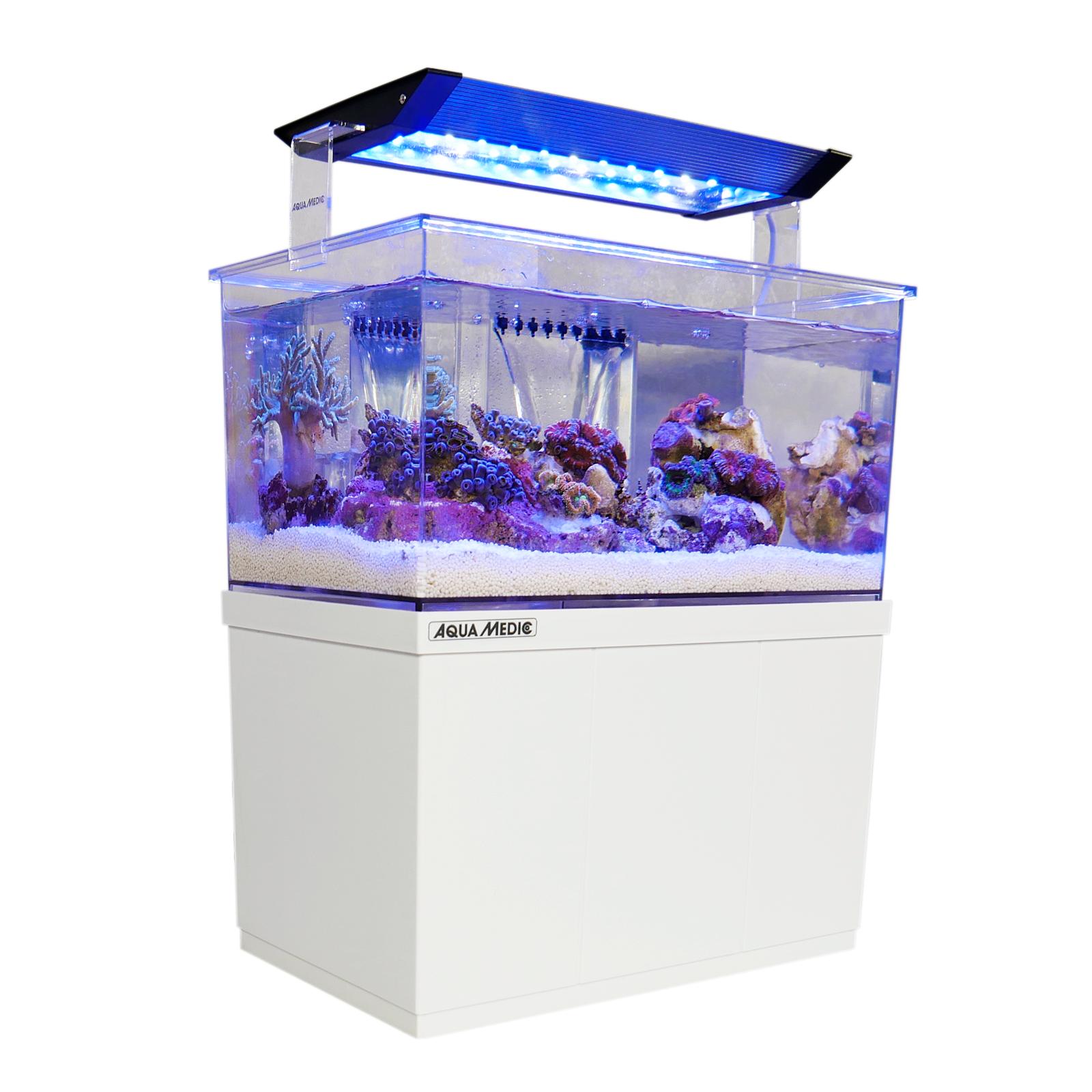 Aqua Medic Armatus XS (26,5x17x15 cm) Microaquarium 4 L