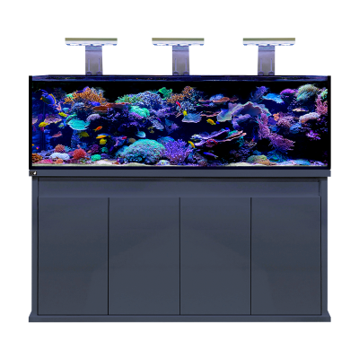 D-D Reef-Pro 1800 Black Gloss Aquariumsystem 180x60x56cm