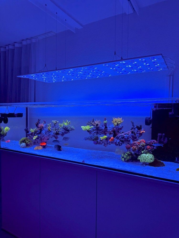 ATI Straton Flex G2 102 LED anthrazit (für Aquarienlängen 90-120cm)