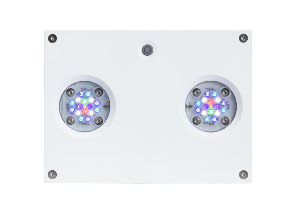 D-D Reef-Pro 1200 D-LUX White Gloss Aquarium inkl. Beleuchtung, Riffaufbau, Salz D-D Reef-Pro 1200 D-LUX White Gloss Aquarium inkl. Beleuchtung, Riffaufbau, Salz