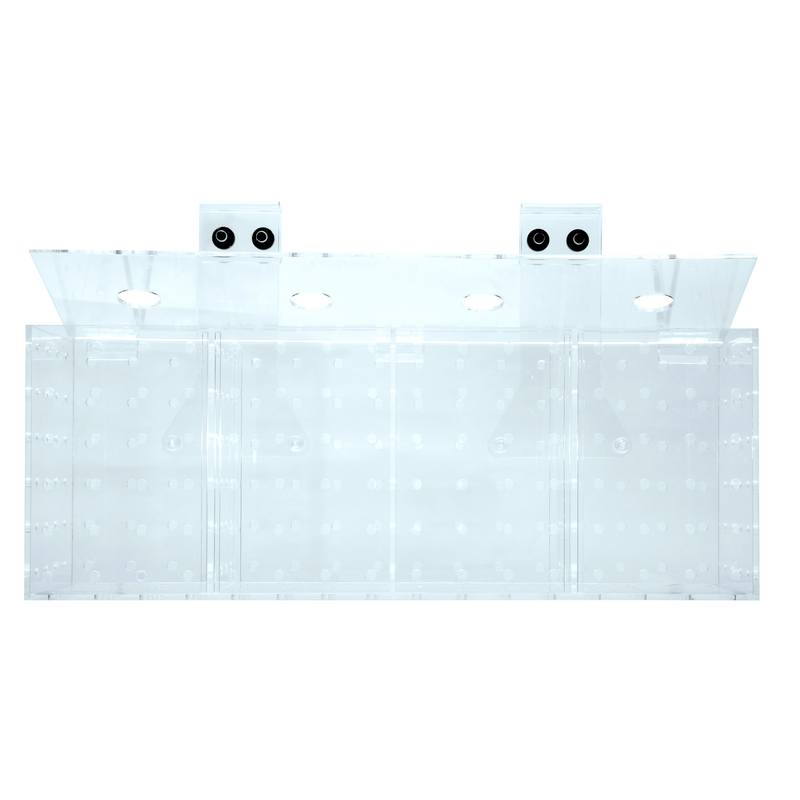 Grotech Akklimatisierungsbox 2-Kammern
