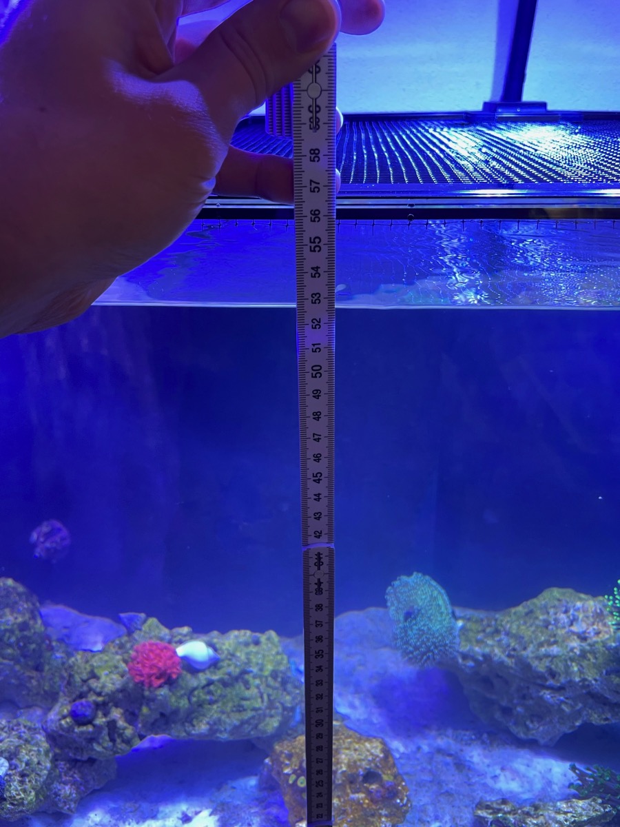 D-D AQUA-Pro Reef 1200 Driftwood Concrete 120x60x56cm Aquariumsystem mit Holzschrank