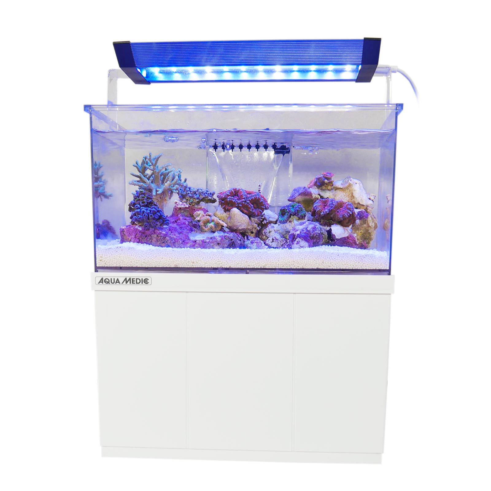 Aqua Medic Armatus XS (26,5x17x15 cm) Microaquarium 4 L