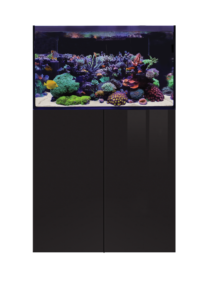 D-D AQUA-Pro Reef 900 Black Gloss 90x50x60cm Aquariumsystem mit Holzschrank