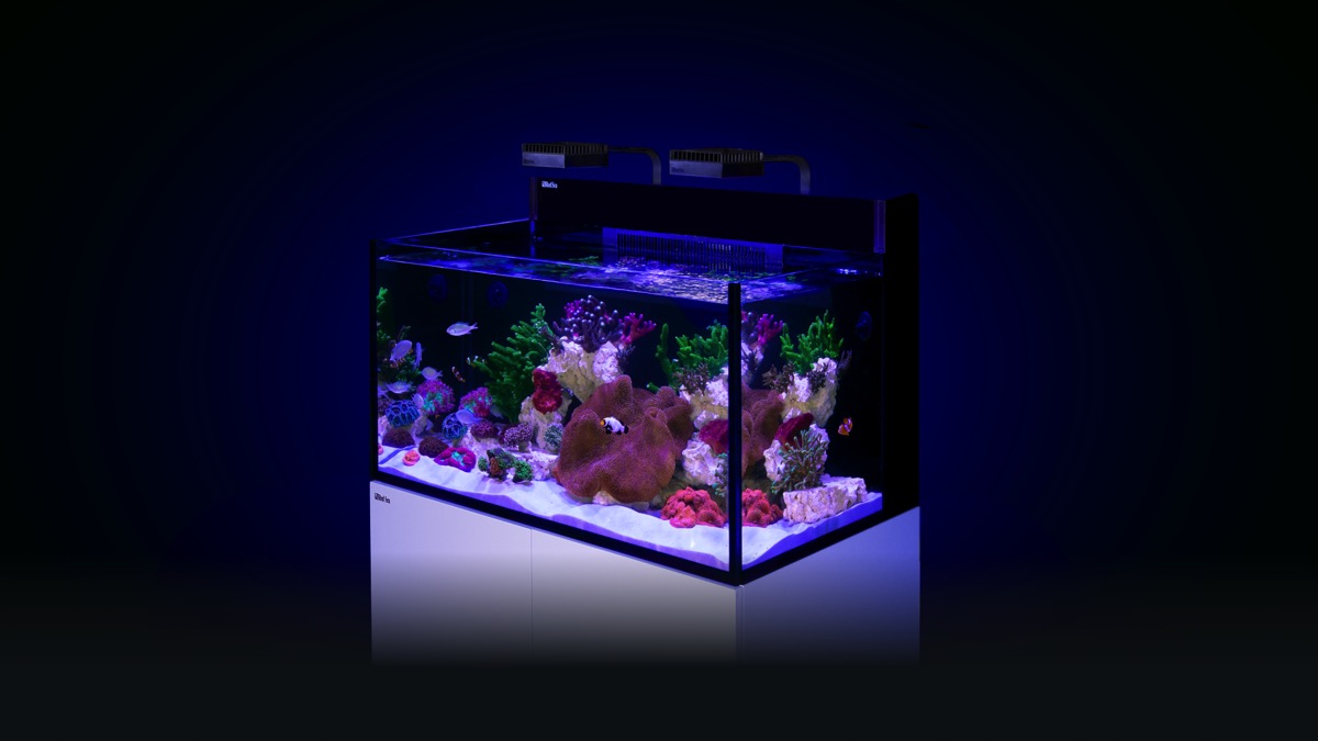 *NEU* Red Sea MAX NANO G2 XXL inkl. weißer Unterschrank (R40091G2-EUR)