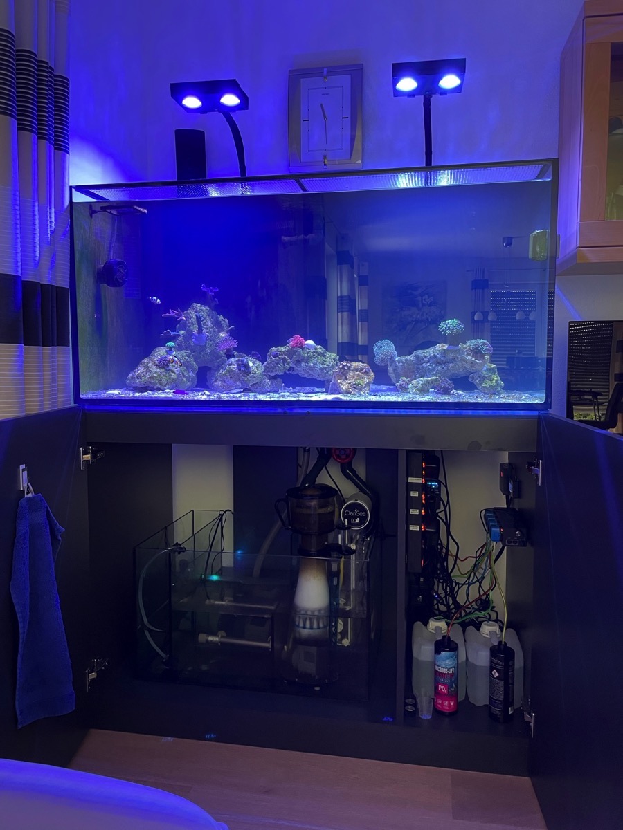 D-D AQUA-Pro Reef 1200 Carbon Oak 120x60x56cm Aquariumsystem mit Holzschrank